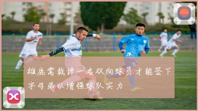 雄鹿需裁掉一名双向球员才能签下字母弟以增强球队实力