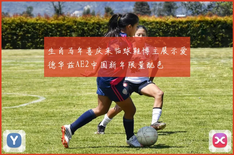 生肖马年喜庆来临球鞋博主展示爱德华兹AE2中国新年限量配色