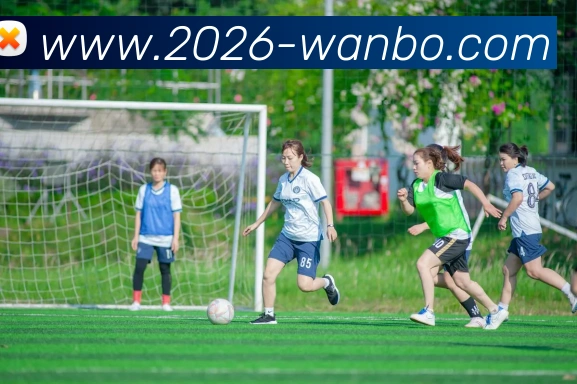 万博体育APP 封面图